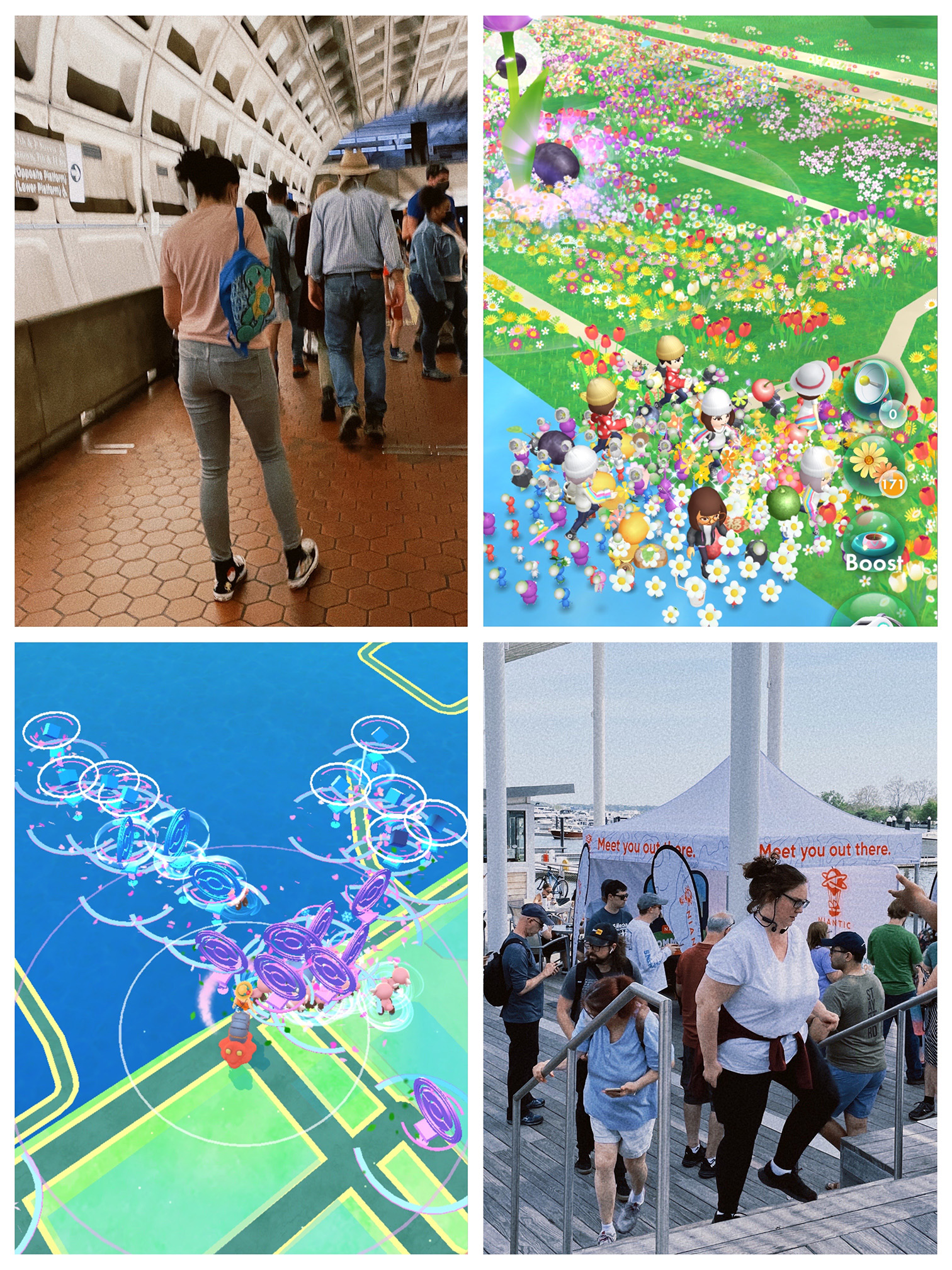 Niantic Comm Day