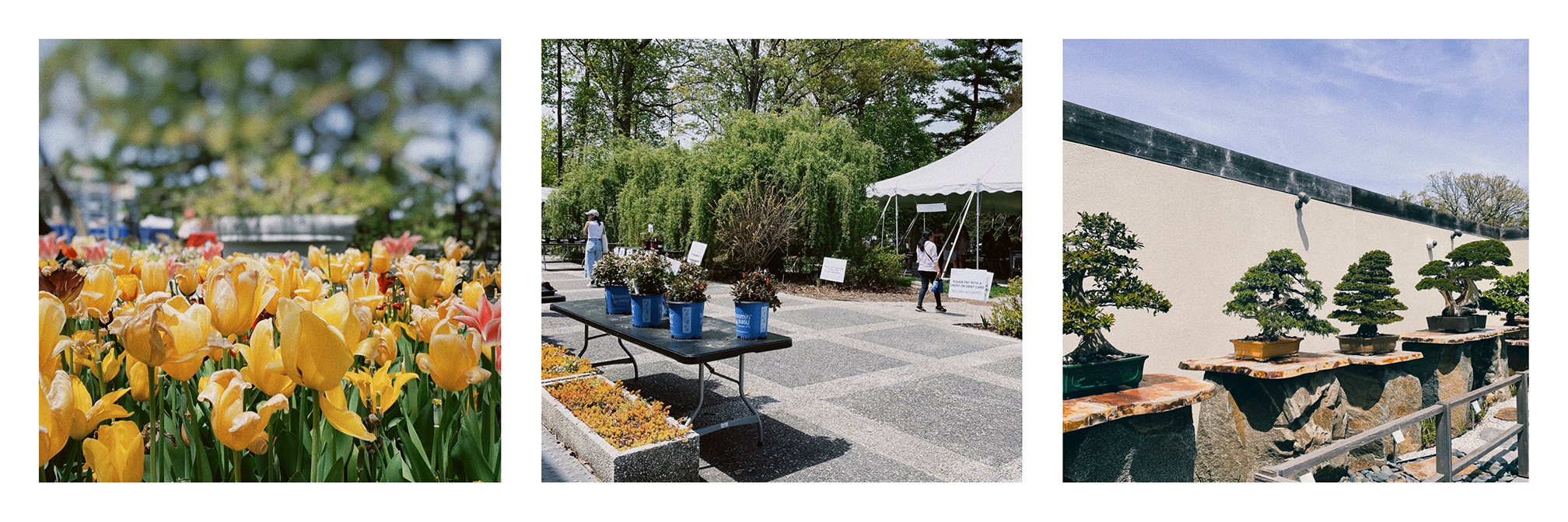 National Arboretum