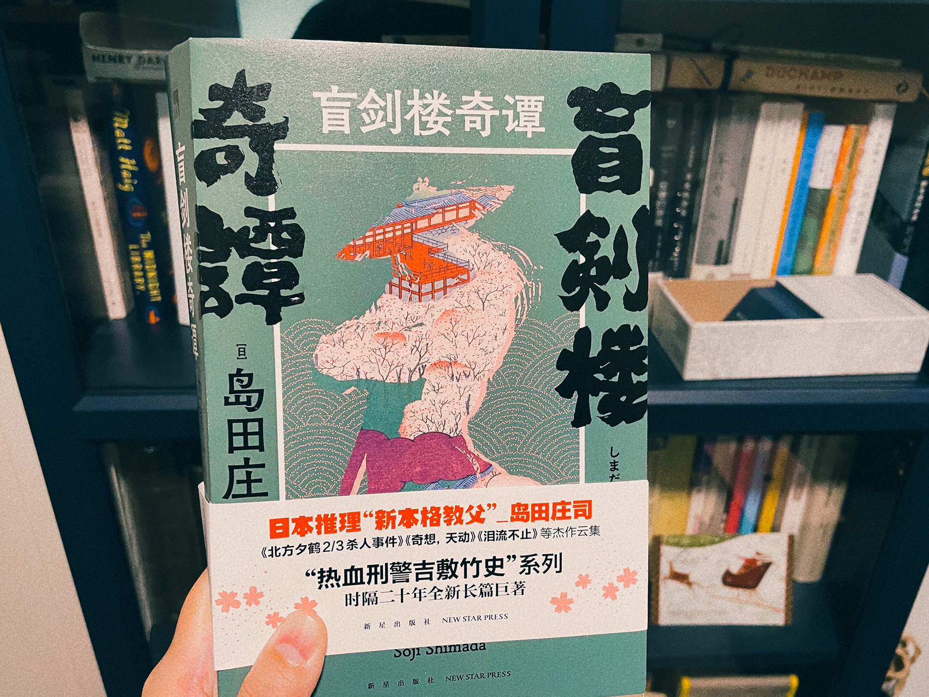 盲剑楼奇谭